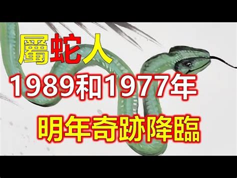 1989屬蛇五行